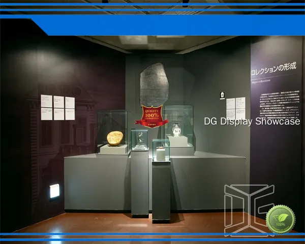 acrylic museum display cases at Wholesale Prices | DG Display Showcase 1