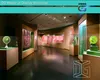 Custom museum glass display case for museum Manufacturer | DG Display Showcase 1