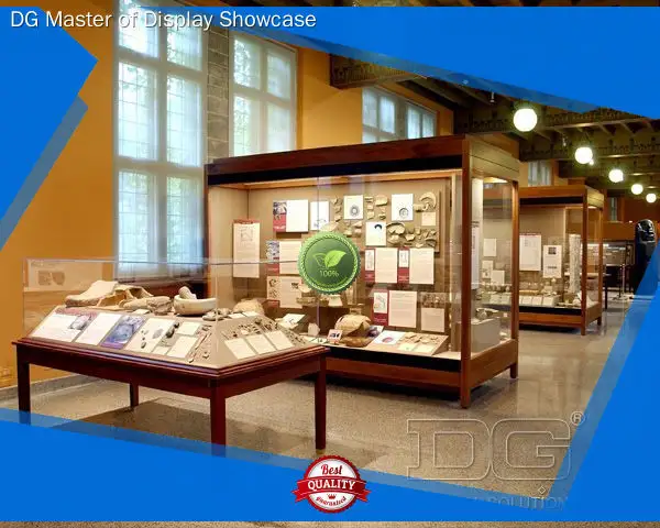 Custom Museum showcase suppliers top brand Manufacturer | DG Display Showcase 1