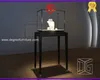 worldwide jewelry showcase personalized | DG Display Showcase 1
