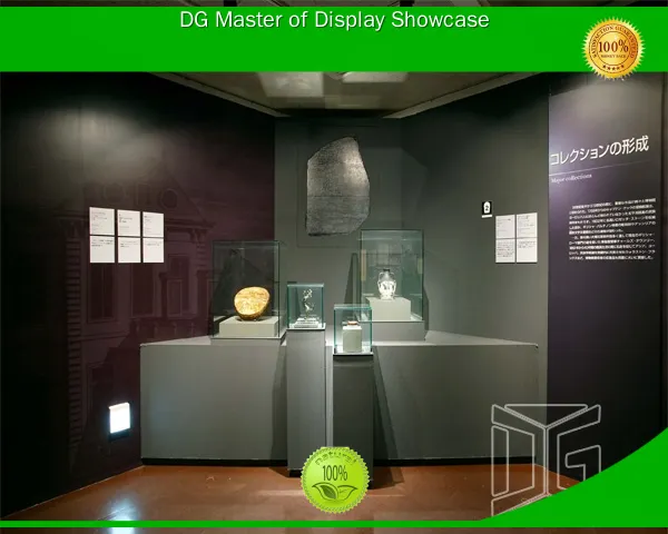 oem & odm Display Showcase Supplier luxury | DG Display Showcase1 1