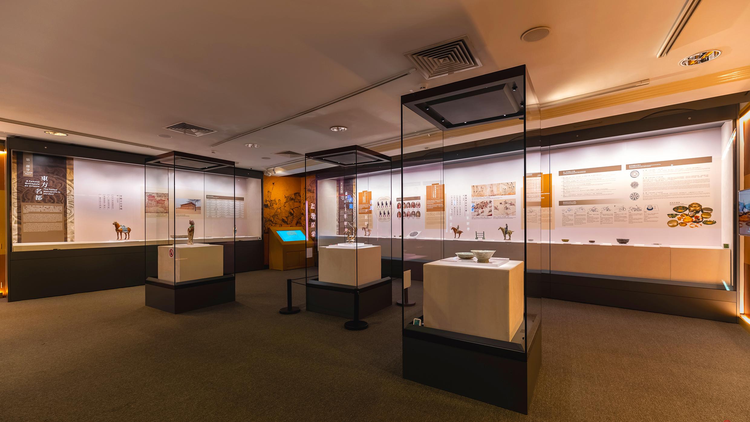 Museum Display Case Material Selection: Which Material Best Protects Artifacts? 2