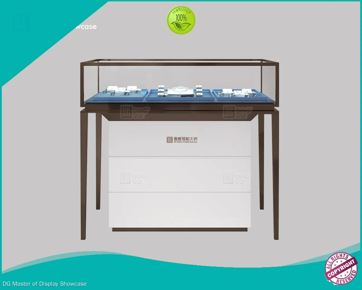 High-End Jewelry Display Cabinet by DG Showcase: Stainless Steel, Leather, Smart Features 1