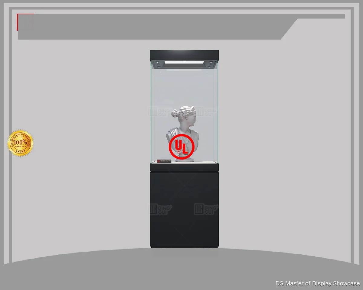 Black Premium Museum Display Showcase - Global Service & Expert Installation 1