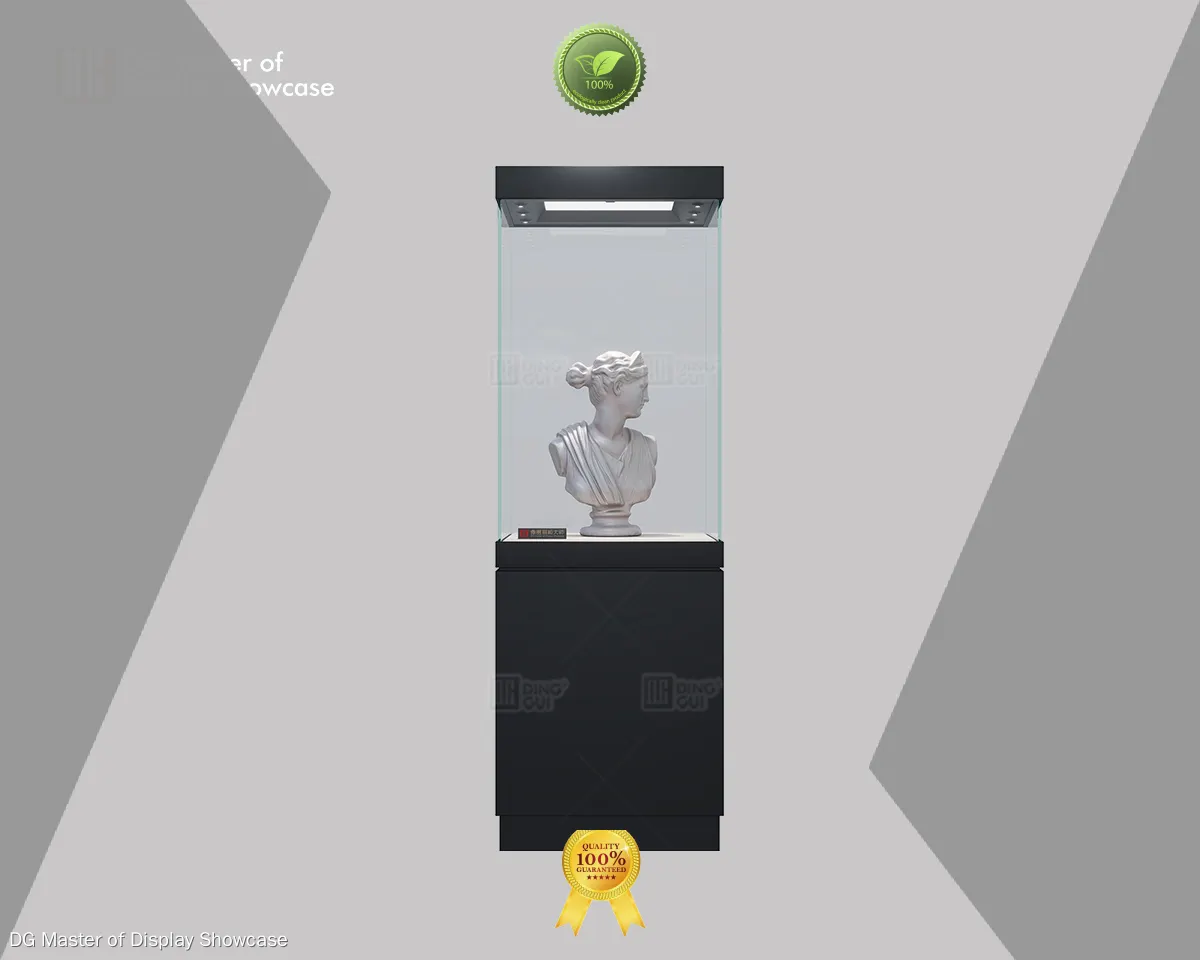 DG Display Showcase | worldwide Museum showcase manufacturers design solution 1