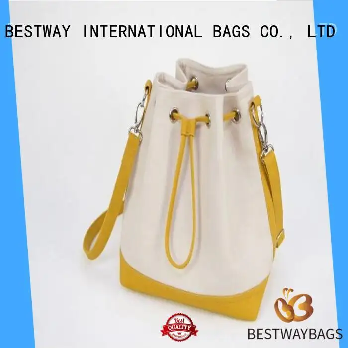 Bestway size canvas handbags personalized for holiday 1
