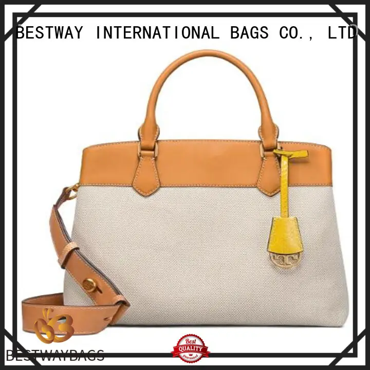 Bestway innovative canvas bag online for shopping 1