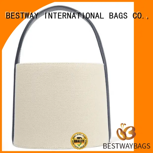 easy match ladies canvas bag plain online for travel 1