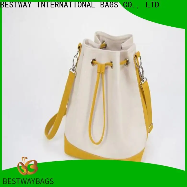 Bestway beautiful ladies canvas bag company for holiday 1