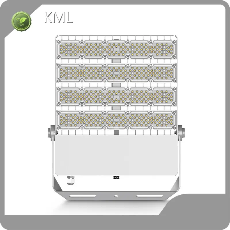 Factory Direct FL2C Led Flood Light Supplier Company 1
