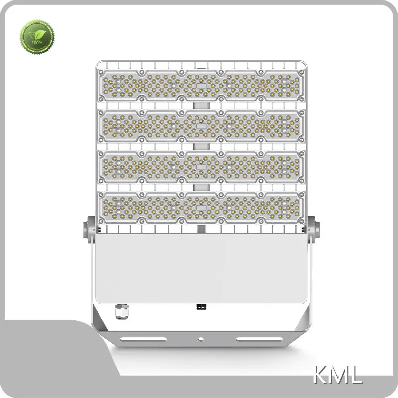 LED Flood Light FL2C Led Flood Light Factory Manufacturer 1