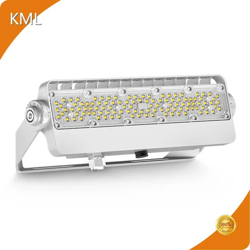 Products FL2C Led Flood Light for Sale-1 1