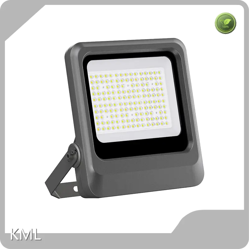 Customized FL20 Led Flood Light Company 1