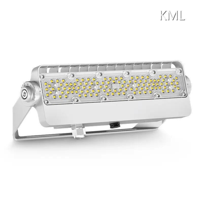 LED Flood Light FL2C Led Flood Light Manufacturer for Sale 1