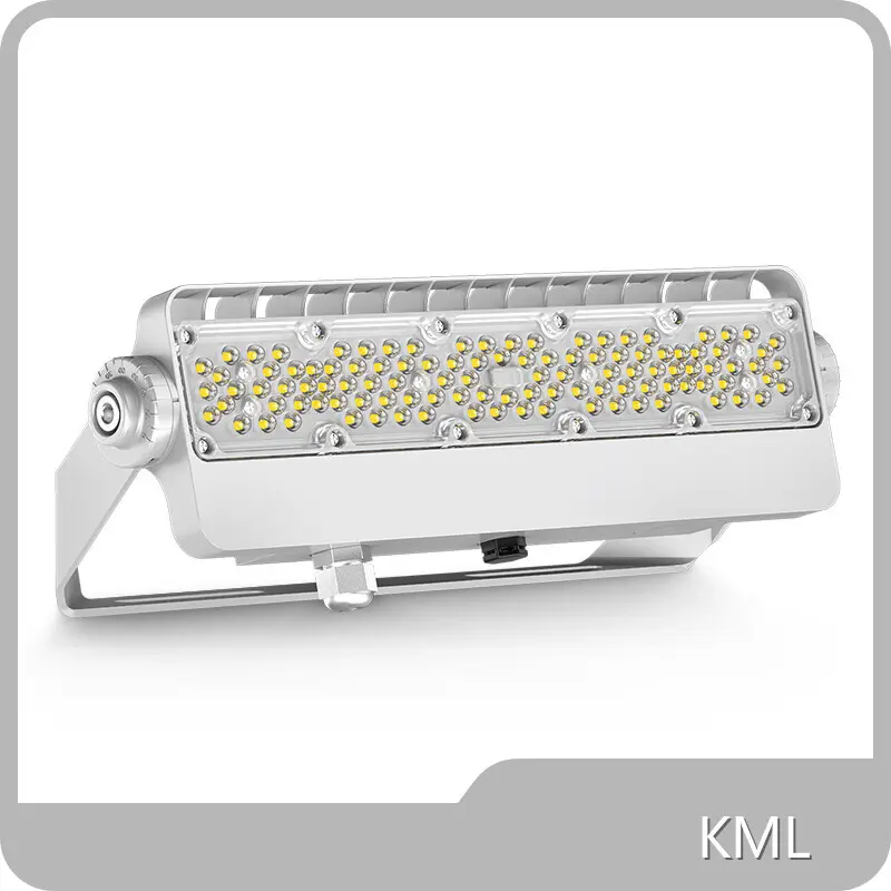 LED Flood Light FL2C Led Flood Light Factory Supplier 1