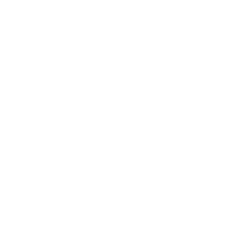 自动抛光机