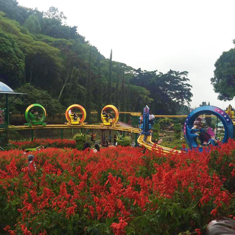 Family Ride Air Bicycle Amusement Park Rides For Kids JTC-2A 1