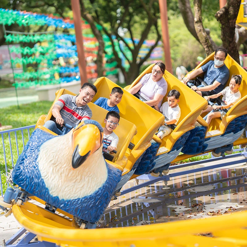 Amusement Park Junior Coaster Family Roller Coasters KSC-12A 1