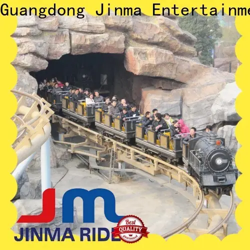 OEM high quality roller coaster car for sale company on sale 1