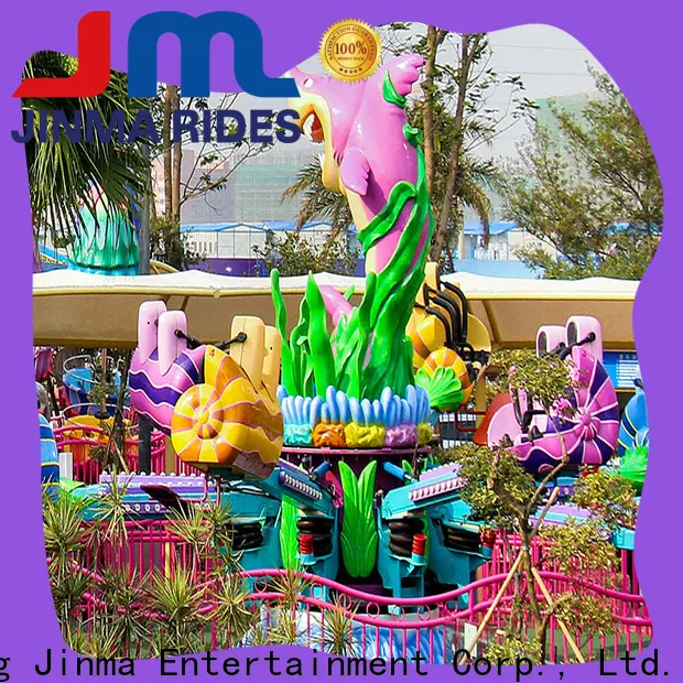 Custom ODM kiddie roller coaster for sale for business for promotion 1