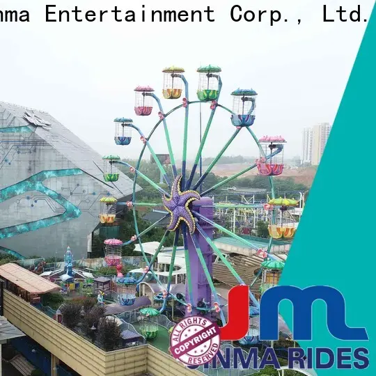 Jinma Rides Bulk purchase high quality wonder wheel ferris wheel company on sale 1
