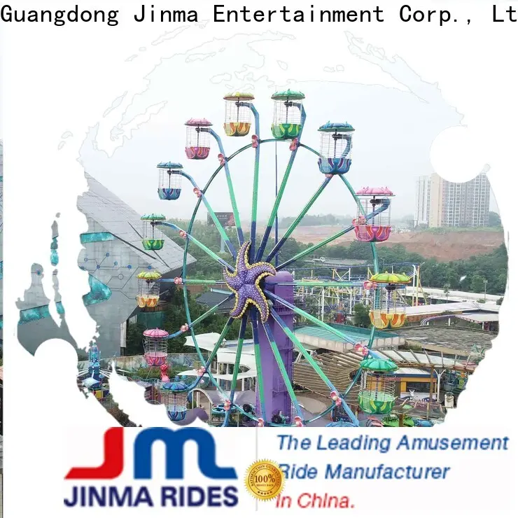 Bulk purchase OEM carnival ferris wheel factory for promotion 1