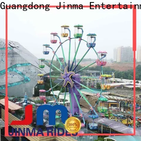 Jinma Rides colorful ferris wheel maker for sale 1