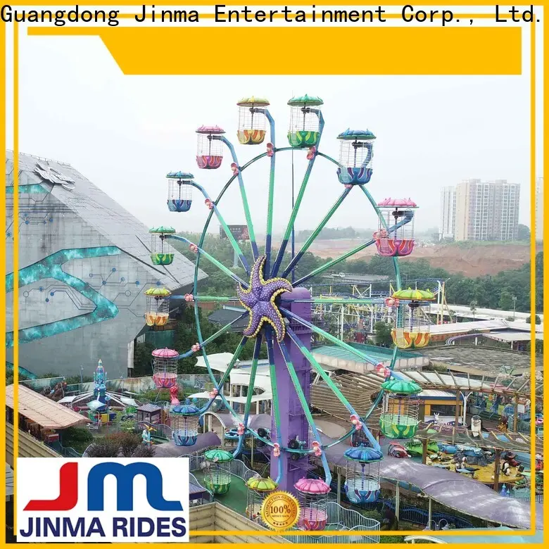 Jinma Rides Bulk buy high quality kids ferris wheel design on sale 1