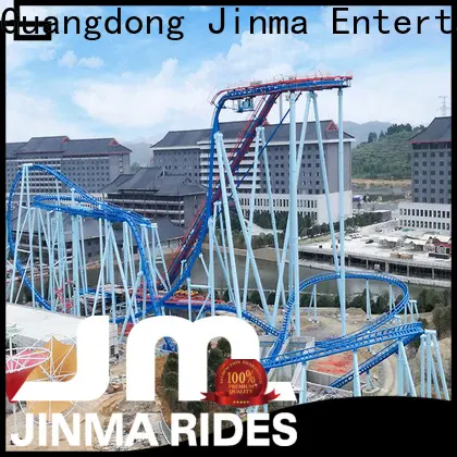Custom high quality fast roller coaster price for sale 1