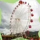 Jinma Rides spinning ferris wheel builder for promotion 1