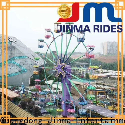 Bulk buy wonder wheel ferris wheel design for sale 1