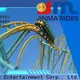 Jinma Rides super roller coasters company for sale 1
