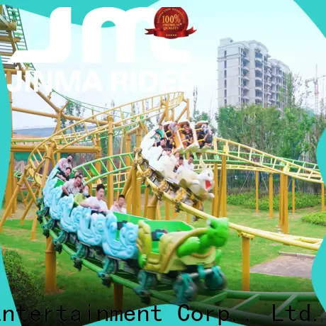 Latest best roller coaster manufacturers sale for promotion 1