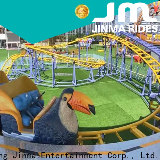 Jinma Rides Bulk buy high quality amazing roller coaster Suppliers for sale 1