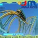 Jinma Rides Bulk buy wild roller coaster ride construction for sale 1