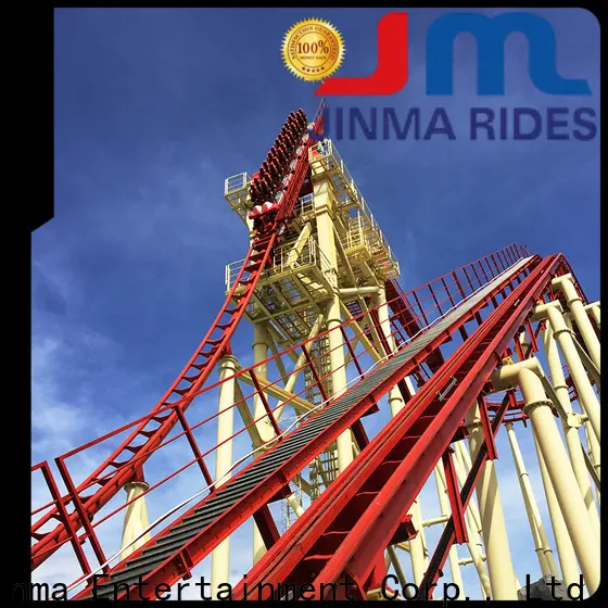 High-quality wild roller coaster ride sale for promotion 1