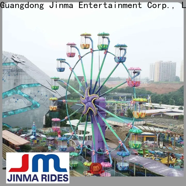 Jinma Rides giant wheel ride Suppliers for sale 1