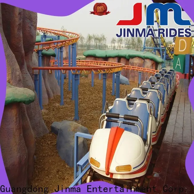 Bulk buy custom family roller coaster for business for sale 1