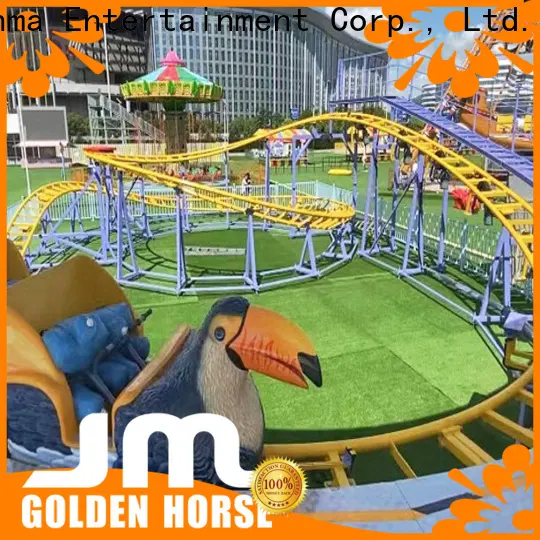 Jinma Rides long roller coaster sale on sale 1