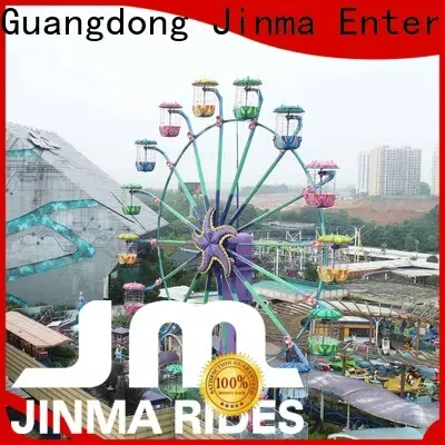 Jinma Rides Top giant wheel for business for sale 1
