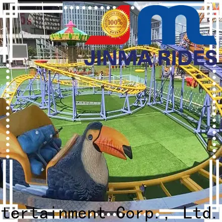 High-quality biggest roller coaster for business for promotion 1