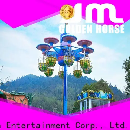Best teacup carnival ride Suppliers on sale 1