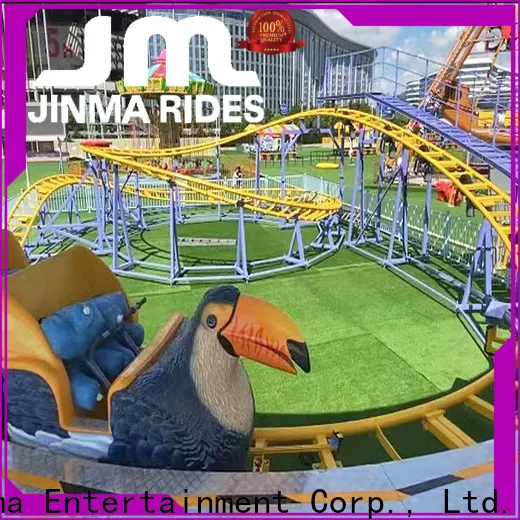 Bulk buy cool roller coasters sale for promotion 1