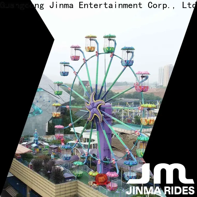 New wonder wheel ferris wheel price for sale 1