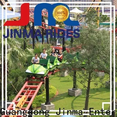 Wholesale high quality roller coaster price China on sale 1