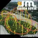 Jinma Rides lay down roller coaster maker for sale 1