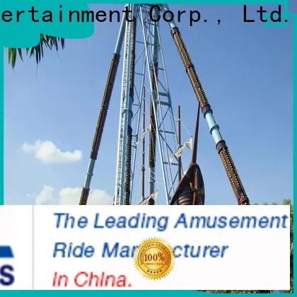 Bulk purchase best viking boat ride factory for sale 1