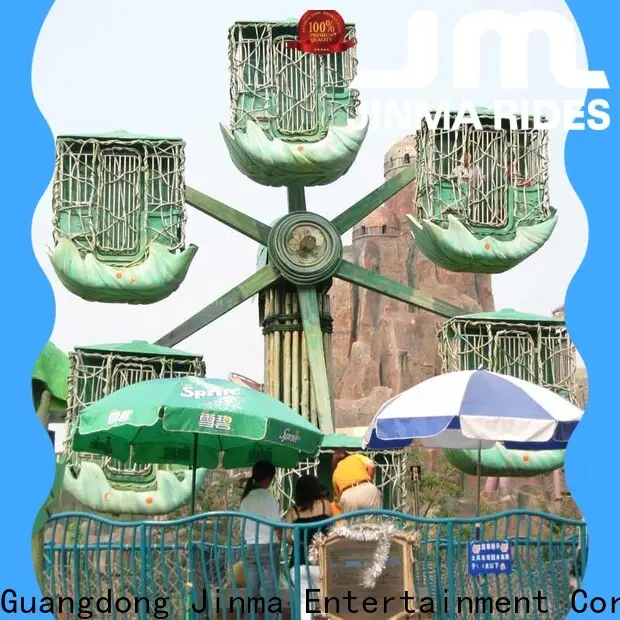 Jinma Rides fairy wheel manufacturers on sale1 1