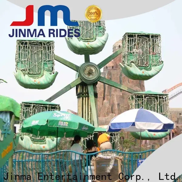 Jinma Rides High-quality fairy wheel sale on sale 1
