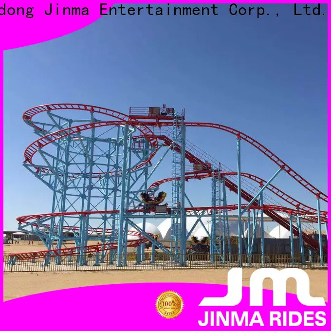 New wild roller coaster ride builder for sale 1